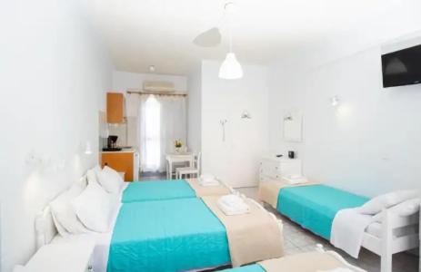 Zacharakis Studios - 77