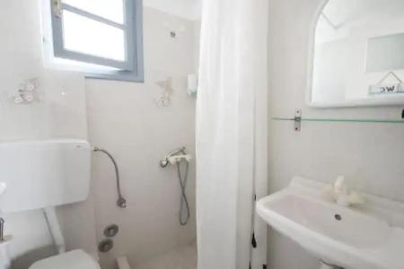 Zacharakis Studios - 51