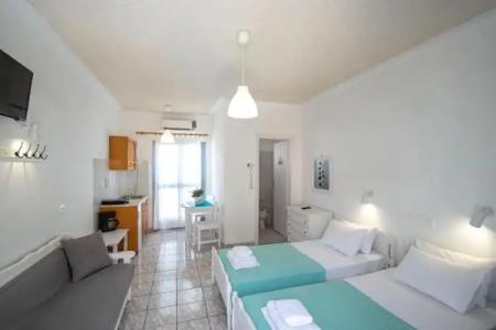 Zacharakis Studios - 67