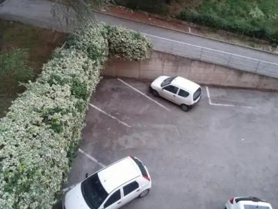 Accogliente e Ospitale B&B - 8