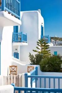 Harmony Boutique - 47