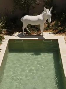 NAUMA PAROS | Design Boutique - 100