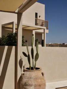 NAUMA PAROS | Design Boutique - 101