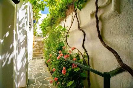 Kontaratos Studios & Apartments - 76