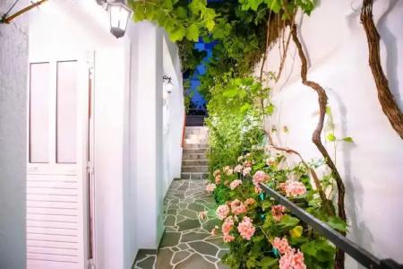 Kontaratos Studios & Apartments - 78