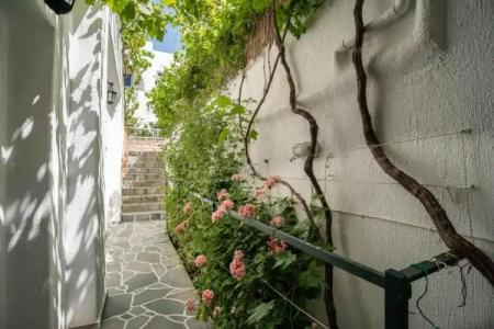 Kontaratos Studios & Apartments - 39