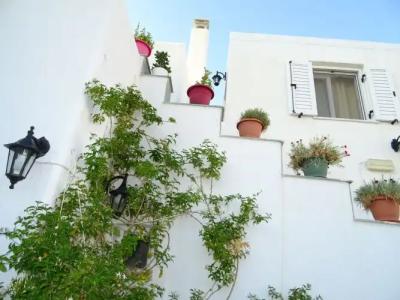 Kontaratos Studios & Apartments - 0