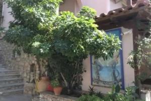 Liadromia Hotel, Alonnisos town