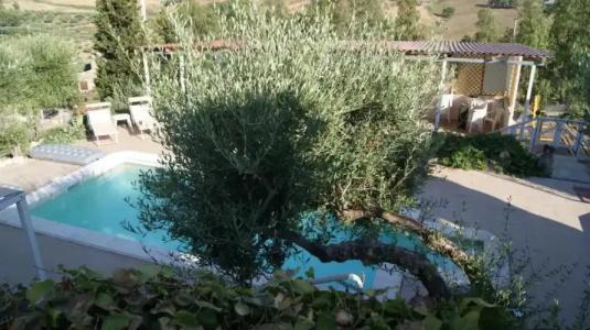 B&B Eyexei Domus - 8