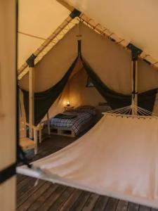 Charyn Canyon Camp - 23