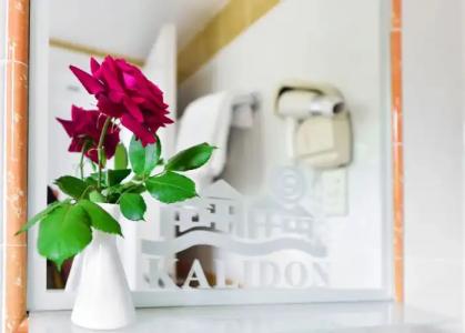 Kalidon Panorama - 25