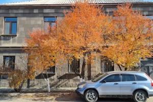 Syune Mini Hotel, Gyumri