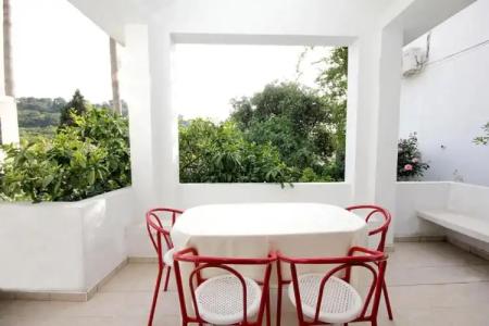 Guesthouse Drašković - 50