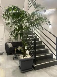 Haya Guest House - 1