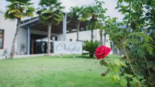 Valis Resort - 0