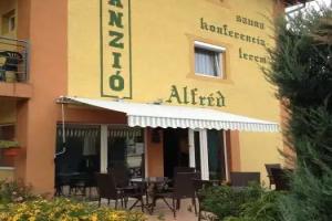 Alfred Panzio, Budapest