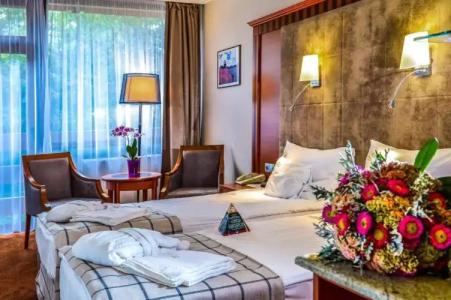 Silvanus Conference and Sport - 5