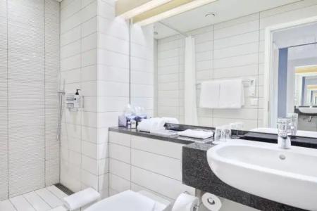 Reykjavik Natura - Berjaya Icelands - 14