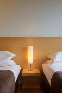 Reykjavik Natura - Berjaya Icelands - 29