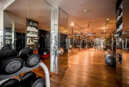 Alexander– Tel Aviv - 24