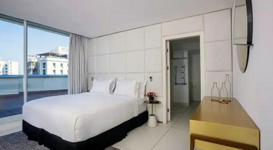 Alexander– Tel Aviv - 47