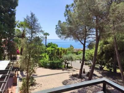 Villa delle Palme - 77