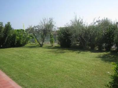 Villa delle Palme - 10