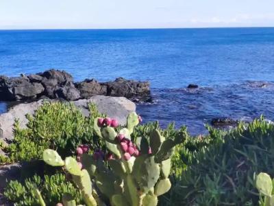 Villa delle Palme - 72