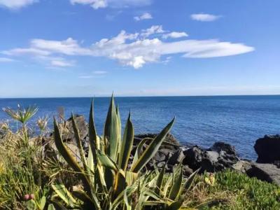 Villa delle Palme - 71