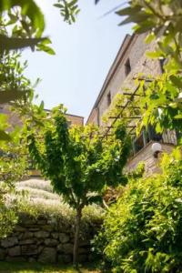 B&B Borgo Marano - 0