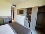 Superior Double room with balcony and with partial view