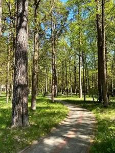 Sanatorium Uzdrowiskowe Augustów - 51