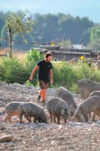 La Tavola Dei Cavalieri - 19