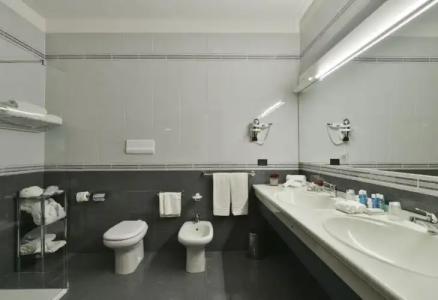 Ariston - 117