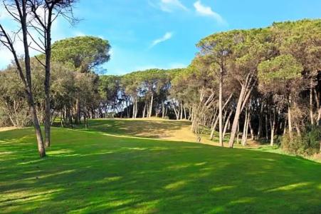 Resort Marina di Castello Golf & Spa - 91