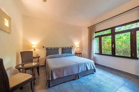 Alberi Del Paradiso - 225