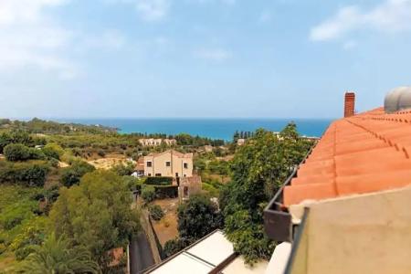 Alberi Del Paradiso - 334