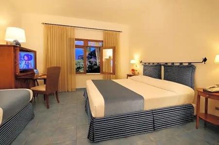 Alberi Del Paradiso - 229