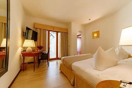 Alberi Del Paradiso - 293