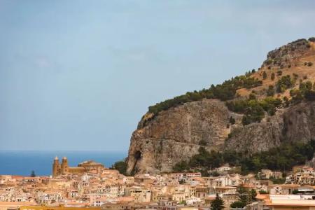 Alberi Del Paradiso - 148