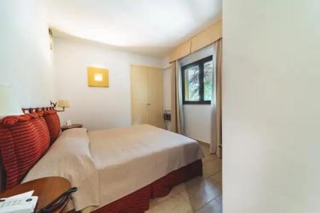 Alberi Del Paradiso - 75