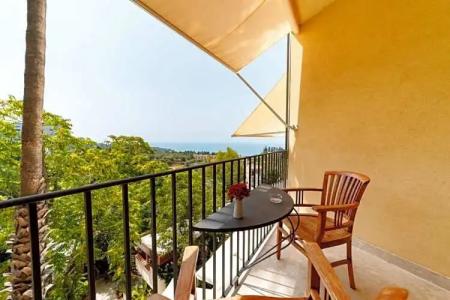 Alberi Del Paradiso - 295