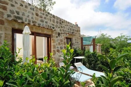 Alberi Del Paradiso - 388