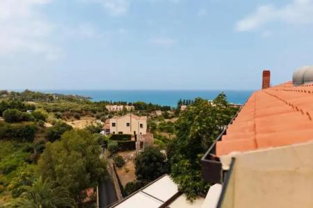 Alberi Del Paradiso - 309