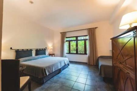 Alberi Del Paradiso - 233