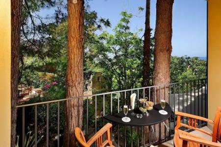 Alberi Del Paradiso - 260