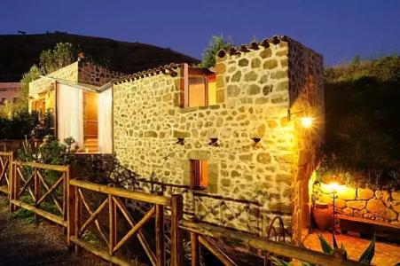 Alberi Del Paradiso - 58