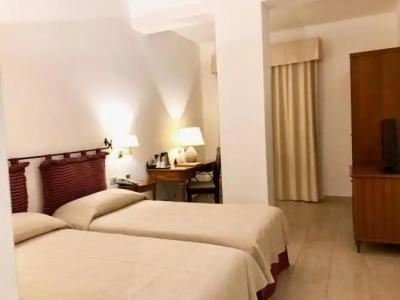 Alberi Del Paradiso - 72