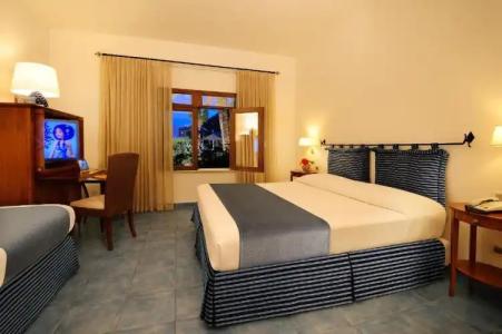 Alberi Del Paradiso - 236