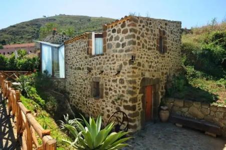 Alberi Del Paradiso - 389